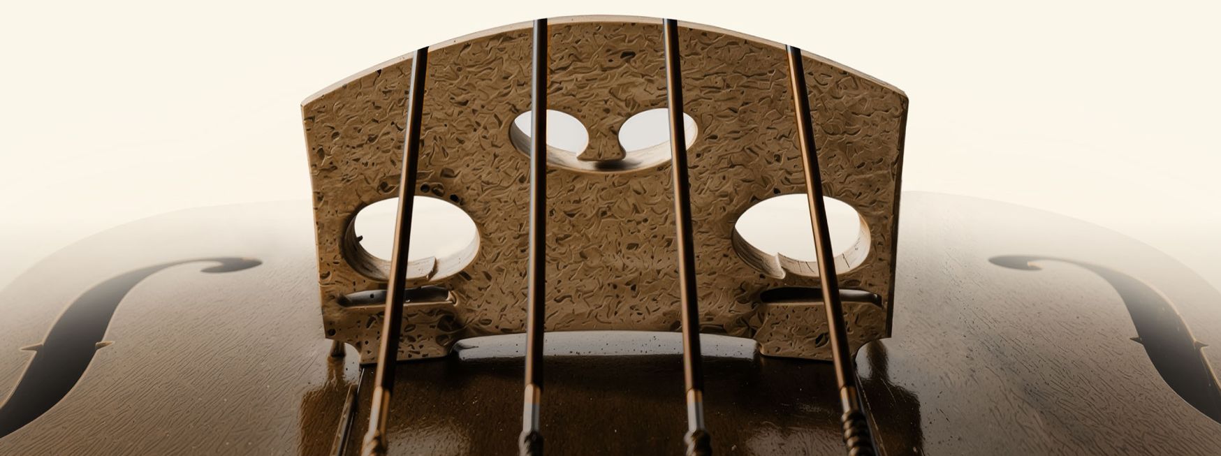 Detail of a violin bridge and strings